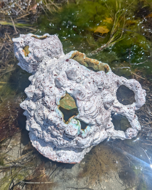 Growth Vessel