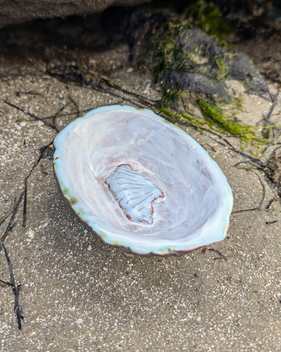 Shell Dish